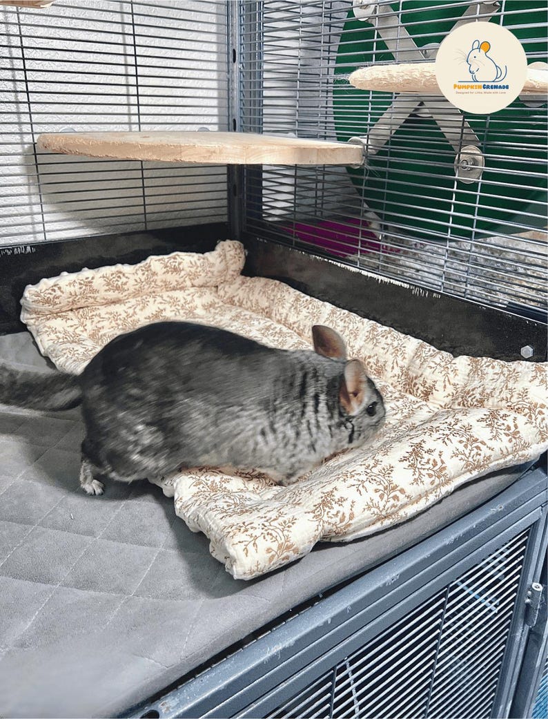May include: A gray chinchilla in a cage with a patterned bed and wooden shelf. The cage is made of metal and has a green background. The bed has a floral design. The cage also has a logo that says "Funny Chinchilla".