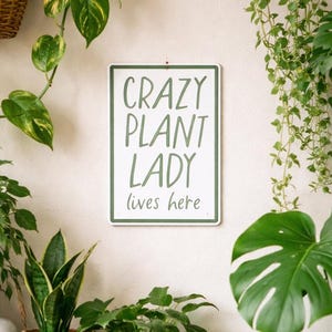 Puede incluir: Una variedad de plantas en macetas y cestas colgantes adornan una pared. Un letrero dice "CRAZY PLANT LADY lives here". La escena incluye una estantería de madera con plantas, una cesta tejida y un colgador de plantas de macramé, creando una exuberante exhibición verde.