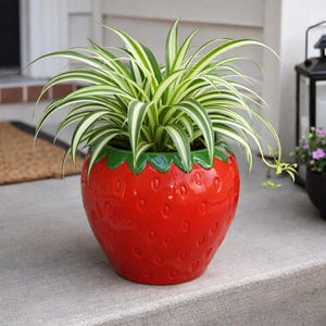 May include: A bright red ceramic strawberry-shaped plant pot with a green rim, containing a green and white striped plant. The planter features small, textured details mimicking strawberry seeds. The plant pot is on a concrete surface.