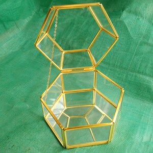 Puede incluir: Un terrario geom&eacute;trico abierto con tapa abisagrada. Los paneles de vidrio transparente est&aacute;n enmarcados por metal dorado. Una delicada cadena dorada conecta la tapa a la base. El terrario se encuentra sobre un fondo verde.