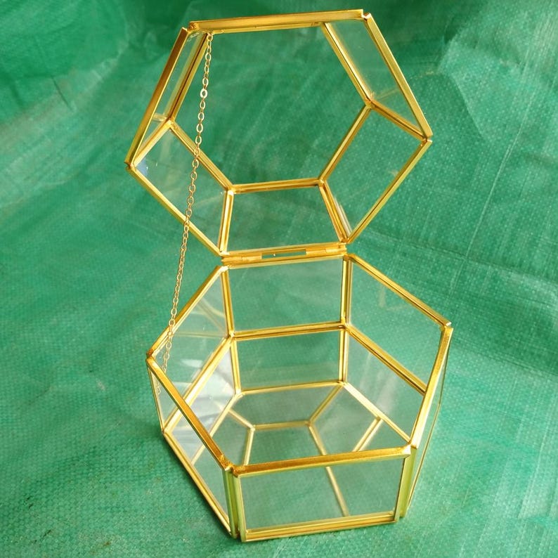 Puede incluir: Un terrario geom&eacute;trico abierto con tapa abisagrada. Los paneles de vidrio transparente est&aacute;n enmarcados por metal dorado. Una delicada cadena dorada conecta la tapa a la base. El terrario se encuentra sobre un fondo verde.