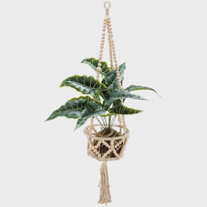 May include: A hanging macrame plant holder with a green plant. The plant has large, veined leaves. The holder is made of natural-colored rope and wooden beads, with a tassel at the bottom. The plant pot is approximately 6 inches in diameter.