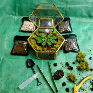 May include: A terrarium kit with a geometric glass container, soil, plants, and tools. The open terrarium features a pink flower and green foliage. Small black bags of soil and other components surround the terrarium on a green surface.
