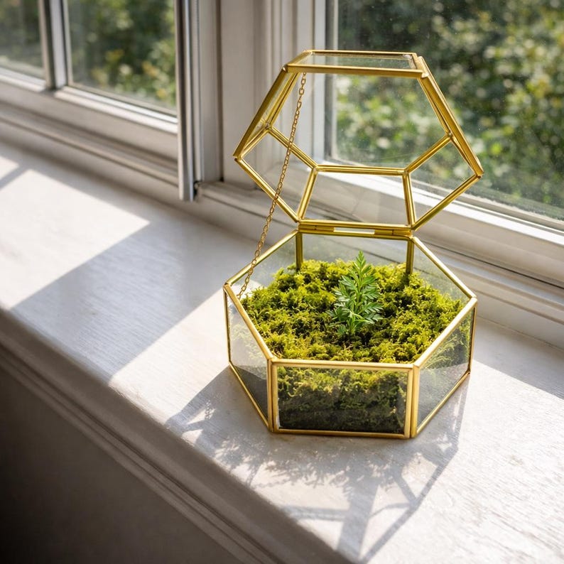 Puede incluir: Un terrario hexagonal de cristal con un marco de metal dorado. La tapa con bisagras se mantiene abierta mediante una fina cadena dorada. Dentro del recipiente de cristal, una capa de musgo verde brillante cubre la base con una peque&ntilde;a planta.