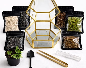 Kit de terrario de helechos y musgo con cúpula de cristal, kit de plantas para armar, kit de terrario de musgo, ecosistema autosostenible, kit de inicio para terrarios.