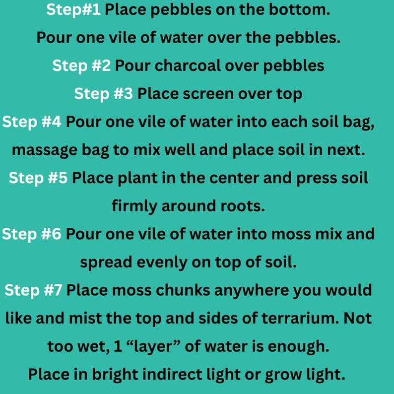 Puede incluir: Una tarjeta de instrucciones color verde azulado con texto negro que detalla siete pasos para construir un terrario. Las instrucciones cubren la colocaci&oacute;n de guijarros, carb&oacute;n, malla, tierra, plantas y musgo, adem&aacute;s de riego y luz.