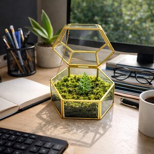 Puede incluir: Un terrario de cristal hexagonal con marco de metal dorado y tapa abatible, que contiene una capa de musgo verde y un peque&ntilde;o helecho. El terrario est&aacute; colocado sobre una superficie de escritorio de madera, mostrando su estructura geom&eacute;trica.