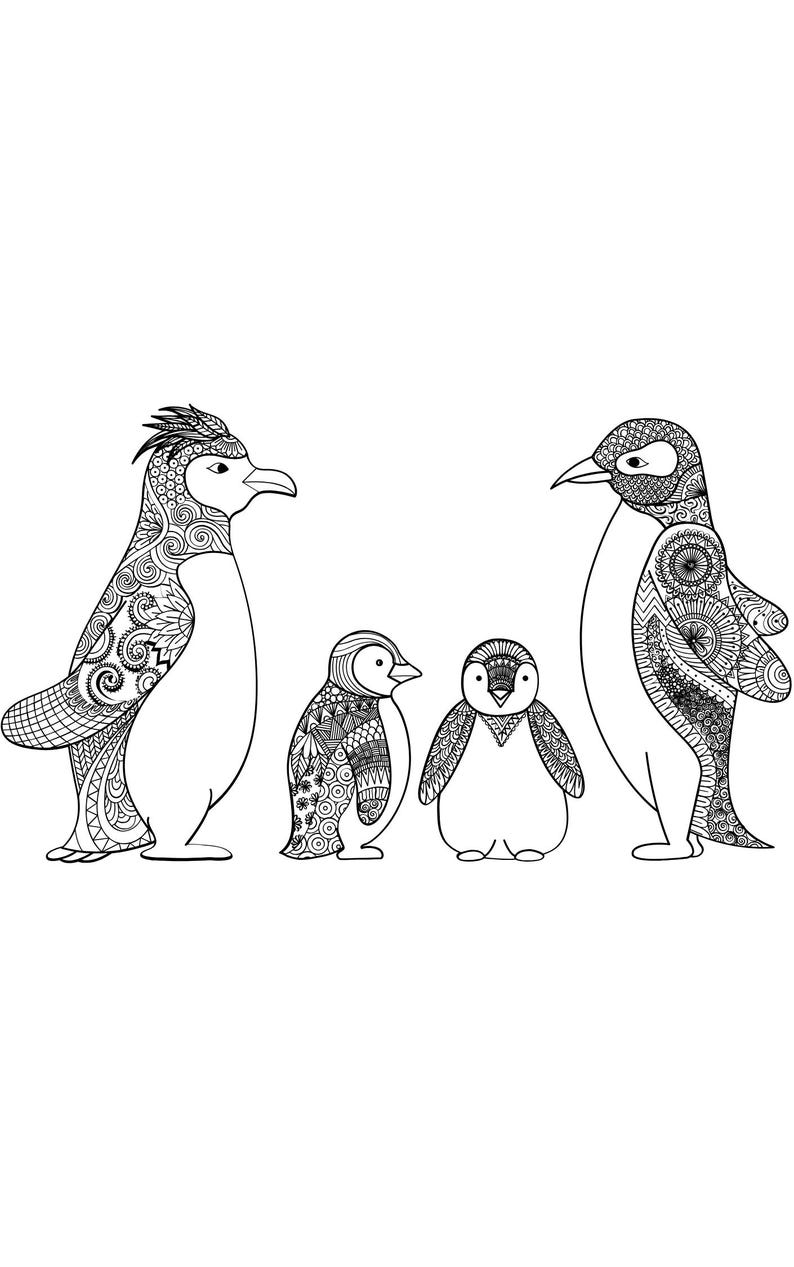 K&ouml;nnte beinhalten: Schwarz-Wei&szlig;-Illustration von vier Pinguinen. Zwei erwachsene Pinguine und zwei kleinere Pinguine sind dargestellt. Die Pinguine haben komplizierte Muster auf ihren K&ouml;rpern, der Rest ihrer K&ouml;rper ist wei&szlig;. Das Bild ist eine Strichzeichnung.
