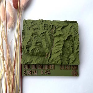 Op de afbeelding: Een groene reliëfkaart van Col du Galibier, met de tekst "COL DU GALIBIER 2.087M 6.4% 34.83 KM". De kaart heeft een rechthoekige vorm. Gedroogde bloemen in roze, beige en bruine tinten staan links.