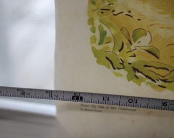 6 impresiones vintage de 1980 de BEATRIX POTTER Frederick Warne - 13,5 x 17