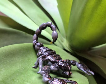 Full-length scorpion with clothing attachment.