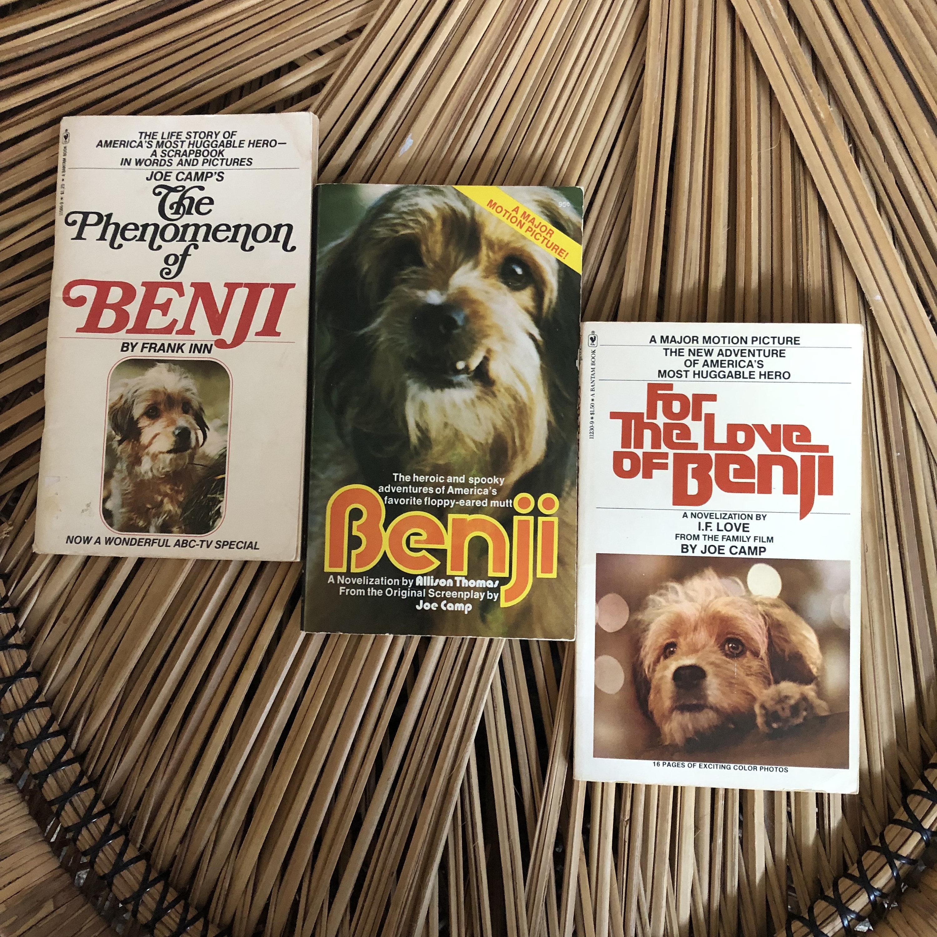 Allen Fiuzat Benji 1974 Benji 2018 Movie Companion Guide Print And
