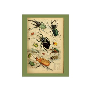 Vintage Print Bug Poster, Beatles