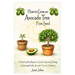 How to Grow an Avocado Tree From Seed . A Step-by-Step Beginner’s Guide to Sprouting, Potting, and Growing in Containers.