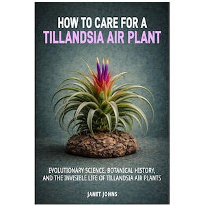 以下が含まれることがあります： 鮮やかな紫、赤、黄色の花を咲かせたチランジアエアープラントが、質感のある茶色の台座に置かれた本の表紙。タイトルは「HOW TO CARE FOR A TILLANDSIA AIR PLANT」と書かれています。著者はジャネット・ジョンズです。