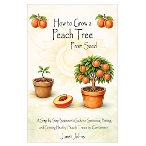 How to Grow a Peach Tree From Seed . A Step-by-Step Beginner’s Guide to Sprouting, Potting, and Growing Healthy Peach Trees in Containers.