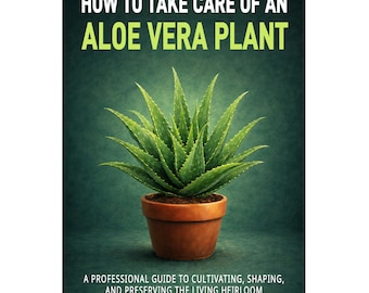 Aloe Vera Plant Care Card, Digital Download Infographic, Printable - Etsy