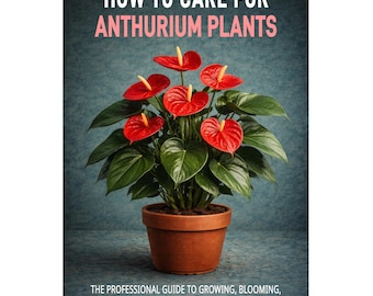 How to Care for Anthurium Plants . the Professional Guide to Growing,  Blooming, and Maintaining Tropical Aroids With Confidence. - Etsy Israel