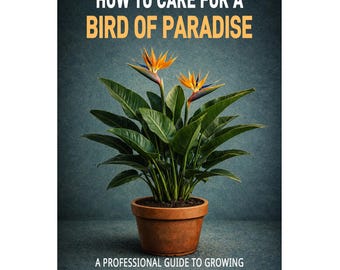 Cómo cuidar una ave del paraíso. Una guía profesional para cultivar Strelitzia con confianza y éxito.