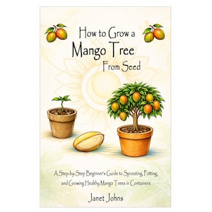 How to Grow a Mango Tree From Seed . A Step-by-Step Beginner’s Guide to Sprouting, Potting, and Growing Healthy Mango Trees in Containers.