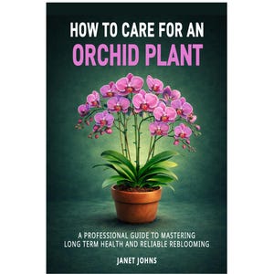 How to Care for an Orchid Plant . A Professional Guide to Mastering Long Term Health and Reliable Reblooming.