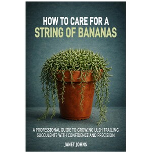 How to Care for a String of Bananas . A Professional Guide to Growing Lush Trailing Succulents with Confidence and Precision