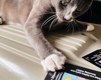 Cat Picked Tarot Card(s): Witchy Gift, Cat Lovers, Magick, Altar Decor