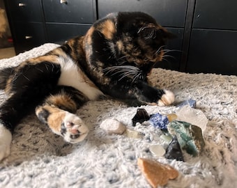 Cat Picked Crystal Surprise - Cat Lovers, Gemstones, Witchy