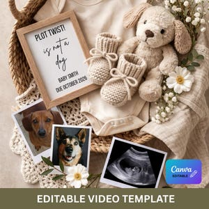 May include: A baby announcement with a neutral colour scheme. The announcement includes a framed sign that reads "PLOT TWIST! is not a dog BABY SMITH DUE OCTOBER 2026". The image also features baby booties, a stuffed dog, and ultrasound photo.