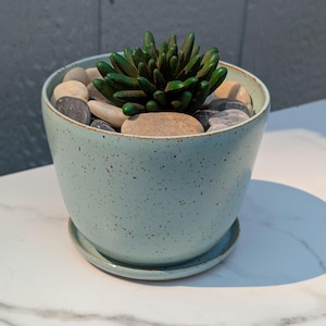 May include: A light blue speckled ceramic planter with a matching saucer. The planter holds a green succulent plant and is surrounded by smooth, gray and tan river rocks. The planter sits on a white surface.