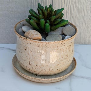 May include: A speckled beige ceramic planter with a matching saucer, containing a dark green succulent plant nestled among smooth, rounded gray and tan river stones. The pot features a subtle horizontal textured band near the top rim.