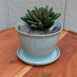 May include: A light blue ceramic planter with brown speckles and a matching saucer. The pot contains a green succulent plant surrounded by smooth gray river stones. The planter has a wide, rounded rim and a tapered base, providing a stable structure.