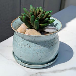 May include: A light blue ceramic planter with a matching saucer, speckled with brown flecks. The planter holds a green succulent and several small, light-colored stones. The planter has a decorative band around the middle.
