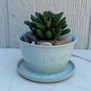 May include: A light blue speckled ceramic planter with a matching saucer, containing a dark green succulent plant nestled among a collection of smooth, multi-colored river stones that fill the interior space of the round container.