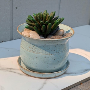 May include: A light blue ceramic planter with a matching saucer, holding a green succulent and small stones. The planter has a decorative band around the middle and a slightly flared rim. The pot is approximately 5 inches in diameter.
