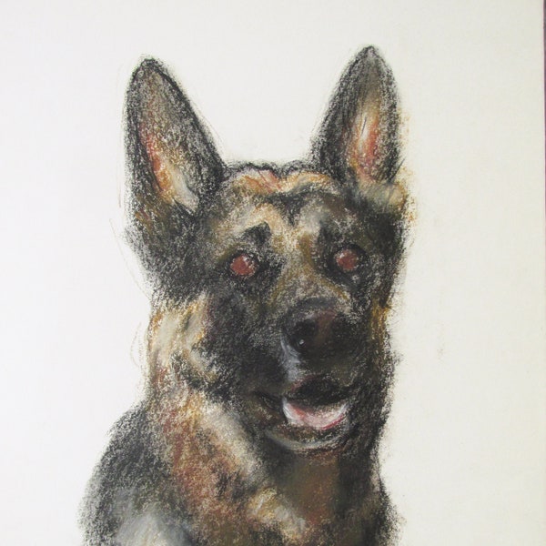 1990s Original Pastel Drawing of German Shepard Dog by Susanne Forestieri / Las Vegas Artist