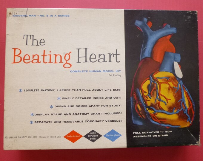 1961 the Beating Heart Model Kit by Superior Etsy