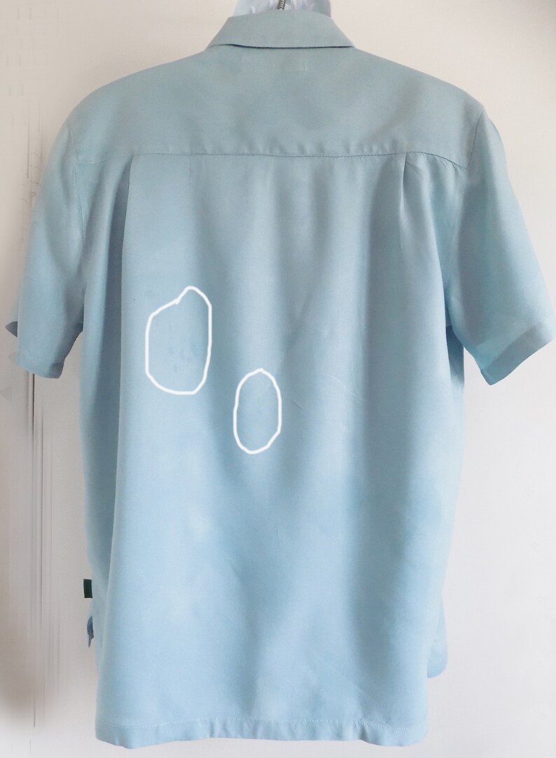 Puede incluir: Una camisa de manga corta azul claro con dos marcas blancas tenues en la espalda.