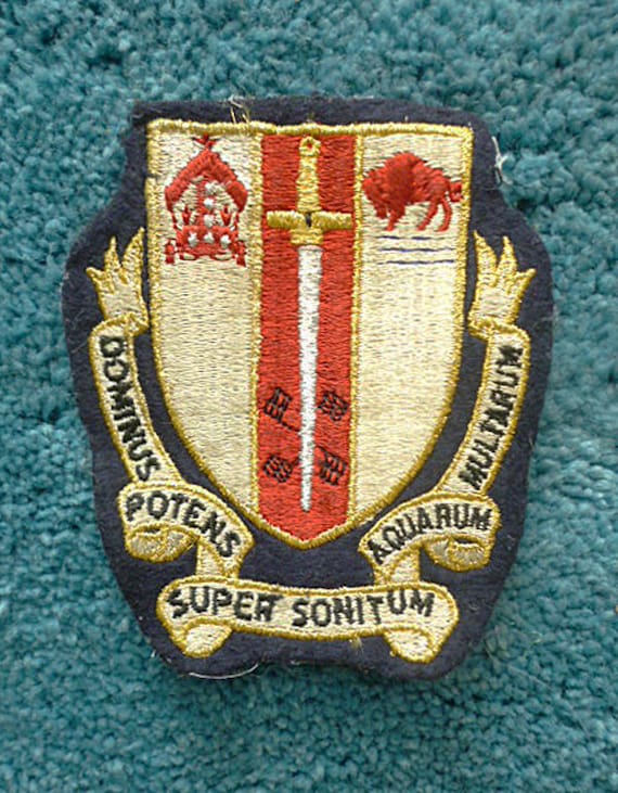 Vintage Buffalo Patch, school patch, jacket insig… - image 1