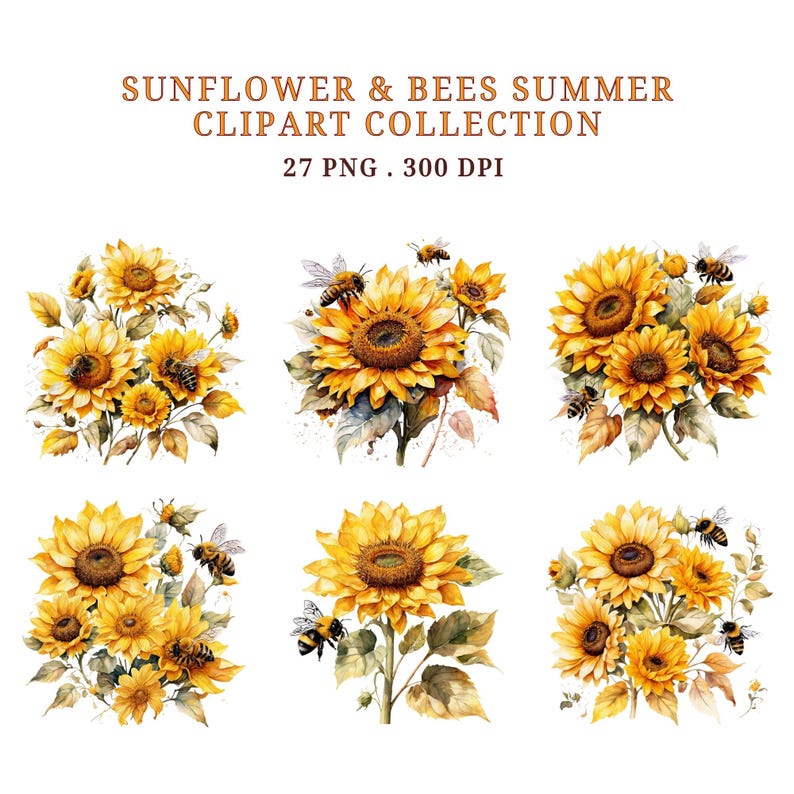 Sunflower Bees Clipart Bundle, Watercolor Floral PNG Set, Rustic Summer Botanical Graphics for Cricut, Sublimation & Print, Digital Download image 2