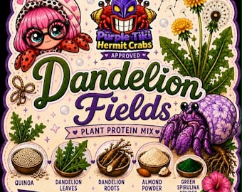 Dandelion Fields