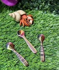 Hermit Crab Food serving spoon