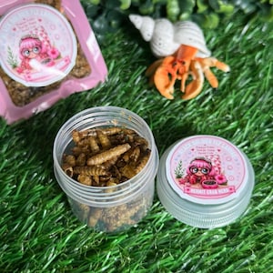 May include: A clear plastic jar filled with dried insects, next to a pink bag and a decorative lid with a cartoon image. A small hermit crab figurine sits on the green surface. The jar is labeled "Hermit Crab Neks".