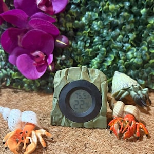 May include: A digital thermometer displays 75.5 degrees Fahrenheit and 22 degrees Celsius. The thermometer is set in a decorative, rock-like frame. Several hermit crab figurines are arranged around the thermometer, with a backdrop of purple orchids and green foliage.