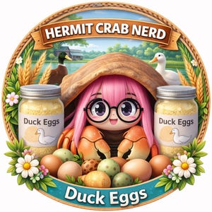 Hermit crab duck eggs