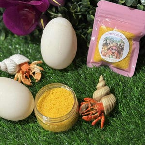 Hermit crab duck eggs