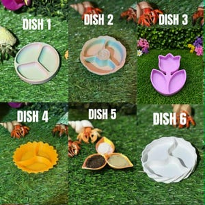 Hermit Crab Staples Dishes