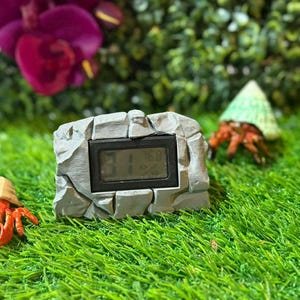 May include: A gray, rock-shaped digital thermometer displays the temperature and humidity. The thermometer sits on a bed of green grass, with a blurred background of greenery and a purple flower. A small hermit crab is also visible.
