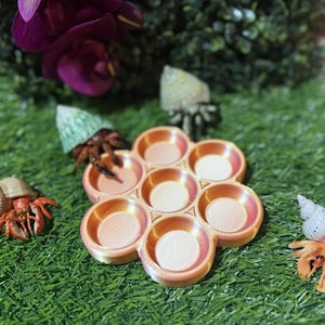May include: A honeycomb-shaped makeup palette with seven circular wells. The palette has a gradient color scheme, transitioning from a light peach to a deeper coral. The wells contain a light, neutral-toned powder. The palette is set on a bed of green artificial grass.