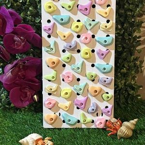 May include: A white climbing wall with various pastel-colored climbing holds. The holds are in shades of pink, yellow, green, and blue. The wall is set against a backdrop of green foliage and artificial grass, with decorative seashells and a hermit crab.